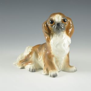 Zaccagnini dog